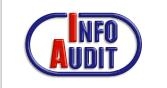 InfoAudit - ksi��ka o unijnych funduszach strukturalnych i program u�atwiaj�cy obieg dokument�w w firmie